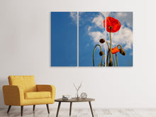 Laden Sie das Bild in den Galerie-Viewer, Leinwandbild 3-teilig Prächtiger Mohn