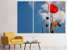 Laden Sie das Bild in den Galerie-Viewer, Leinwandbild 3-teilig Prächtiger Mohn