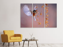 Laden Sie das Bild in den Galerie-Viewer, Leinwandbild 3-teilig Vogel in Aktion