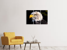 Laden Sie das Bild in den Galerie-Viewer, Leinwandbild 3-teilig Der Adler Kopf