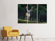 Laden Sie das Bild in den Galerie-Viewer, Leinwandbild 3-teilig Der Damhirsch 2