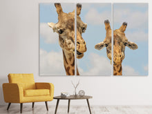 Laden Sie das Bild in den Galerie-Viewer, Leinwandbild 3-teilig 2 Giraffen