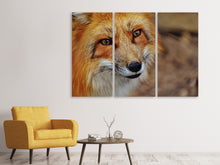 Laden Sie das Bild in den Galerie-Viewer, Leinwandbild 3-teilig Der Fuchs