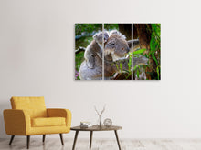 Laden Sie das Bild in den Galerie-Viewer, Leinwandbild 3-teilig Mama und Baby Koala