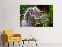 Laden Sie das Bild in den Galerie-Viewer, Leinwandbild 3-teilig Mama und Baby Koala
