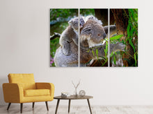 Laden Sie das Bild in den Galerie-Viewer, Leinwandbild 3-teilig Mama und Baby Koala