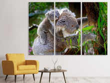 Laden Sie das Bild in den Galerie-Viewer, Leinwandbild 3-teilig Mama und Baby Koala