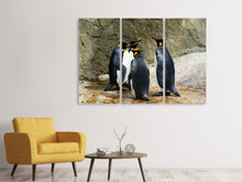 Laden Sie das Bild in den Galerie-Viewer, Leinwandbild 3-teilig König Pinguine