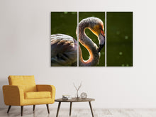 Laden Sie das Bild in den Galerie-Viewer, Leinwandbild 3-teilig Prächtiger Vogel
