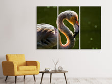 Laden Sie das Bild in den Galerie-Viewer, Leinwandbild 3-teilig Prächtiger Vogel