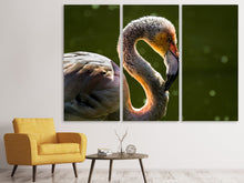 Laden Sie das Bild in den Galerie-Viewer, Leinwandbild 3-teilig Prächtiger Vogel