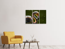 Laden Sie das Bild in den Galerie-Viewer, Leinwandbild 3-teilig Prächtiger Vogel
