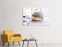 Laden Sie das Bild in den Galerie-Viewer, Leinwandbild 3-teilig Das Igel Baby