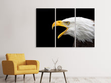 Laden Sie das Bild in den Galerie-Viewer, Leinwandbild 3-teilig Der Weißkopfseeadler
