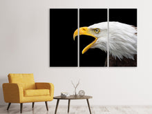 Laden Sie das Bild in den Galerie-Viewer, Leinwandbild 3-teilig Der Weißkopfseeadler