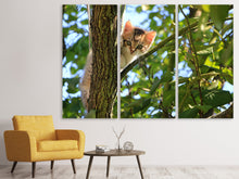 Laden Sie das Bild in den Galerie-Viewer, Leinwandbild 3-teilig Süsses Katzen Kind
