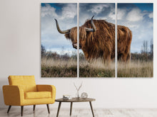 Laden Sie das Bild in den Galerie-Viewer, Leinwandbild 3-teilig Achtung Stier!