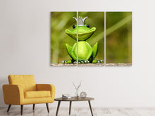 Laden Sie das Bild in den Galerie-Viewer, Leinwandbild 3-teilig Herr Frosch König