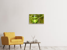 Laden Sie das Bild in den Galerie-Viewer, Leinwandbild 3-teilig Herr Frosch König