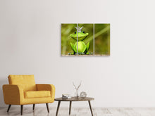 Laden Sie das Bild in den Galerie-Viewer, Leinwandbild 3-teilig Herr Frosch König