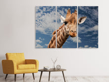 Laden Sie das Bild in den Galerie-Viewer, Leinwandbild 3-teilig Achtung Giraffe!