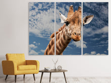 Laden Sie das Bild in den Galerie-Viewer, Leinwandbild 3-teilig Achtung Giraffe!