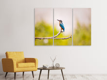 Laden Sie das Bild in den Galerie-Viewer, Leinwandbild 3-teilig Der Eisvogel