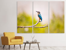 Laden Sie das Bild in den Galerie-Viewer, Leinwandbild 3-teilig Der Eisvogel