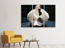 Laden Sie das Bild in den Galerie-Viewer, Leinwandbild 3-teilig Mama und Baby Schwan