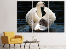 Laden Sie das Bild in den Galerie-Viewer, Leinwandbild 3-teilig Mama und Baby Schwan