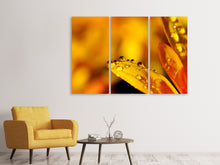Laden Sie das Bild in den Galerie-Viewer, Leinwandbild 3-teilig Tropfen Close up