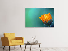 Laden Sie das Bild in den Galerie-Viewer, Leinwandbild 3-teilig Ringelblume im Morgentau