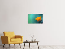 Laden Sie das Bild in den Galerie-Viewer, Leinwandbild 3-teilig Ringelblume im Morgentau