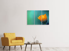 Laden Sie das Bild in den Galerie-Viewer, Leinwandbild 3-teilig Ringelblume im Morgentau