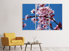 Laden Sie das Bild in den Galerie-Viewer, Leinwandbild 3-teilig Die Mandelblüte