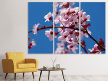 Laden Sie das Bild in den Galerie-Viewer, Leinwandbild 3-teilig Die Mandelblüte