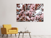 Laden Sie das Bild in den Galerie-Viewer, Leinwandbild 3-teilig Der Frühling ist da