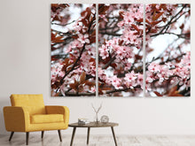 Laden Sie das Bild in den Galerie-Viewer, Leinwandbild 3-teilig Der Frühling ist da