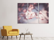 Laden Sie das Bild in den Galerie-Viewer, Leinwandbild 3-teilig Blüte XL
