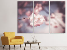 Laden Sie das Bild in den Galerie-Viewer, Leinwandbild 3-teilig Blüte XL