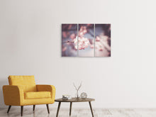 Laden Sie das Bild in den Galerie-Viewer, Leinwandbild 3-teilig Blüte XL