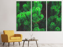 Laden Sie das Bild in den Galerie-Viewer, Leinwandbild 3-teilig Kiefer XL