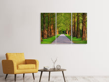 Laden Sie das Bild in den Galerie-Viewer, Leinwandbild 3-teilig Schöne Allee in der Natur