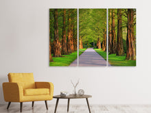 Laden Sie das Bild in den Galerie-Viewer, Leinwandbild 3-teilig Schöne Allee in der Natur