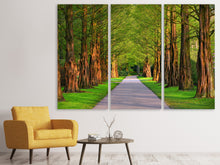 Laden Sie das Bild in den Galerie-Viewer, Leinwandbild 3-teilig Schöne Allee in der Natur