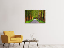 Laden Sie das Bild in den Galerie-Viewer, Leinwandbild 3-teilig Schöne Allee in der Natur
