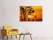 Laden Sie das Bild in den Galerie-Viewer, Leinwandbild 3-teilig Ein Strauch im Sonnenuntergang