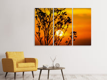 Laden Sie das Bild in den Galerie-Viewer, Leinwandbild 3-teilig Ein Strauch im Sonnenuntergang