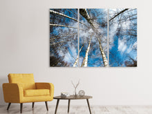 Laden Sie das Bild in den Galerie-Viewer, Leinwandbild 3-teilig Birkenkronen