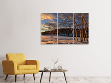 Laden Sie das Bild in den Galerie-Viewer, Leinwandbild 3-teilig Birken im Winter